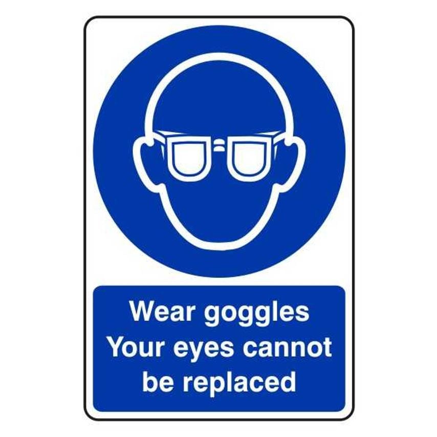 Lasting Impressions Wear Goggles - Your Eyes Cannot Be Replaced Sign Label