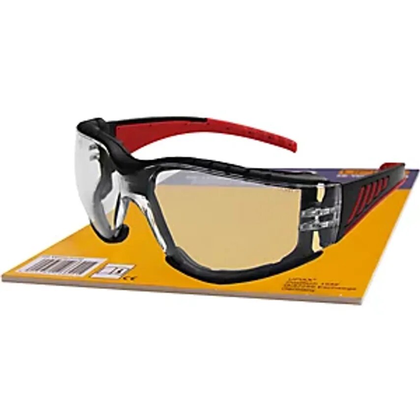 LEIPOLD + DHLE GMBH Red Vision Safety Goggles, with Headpiece, Clear- you get 10