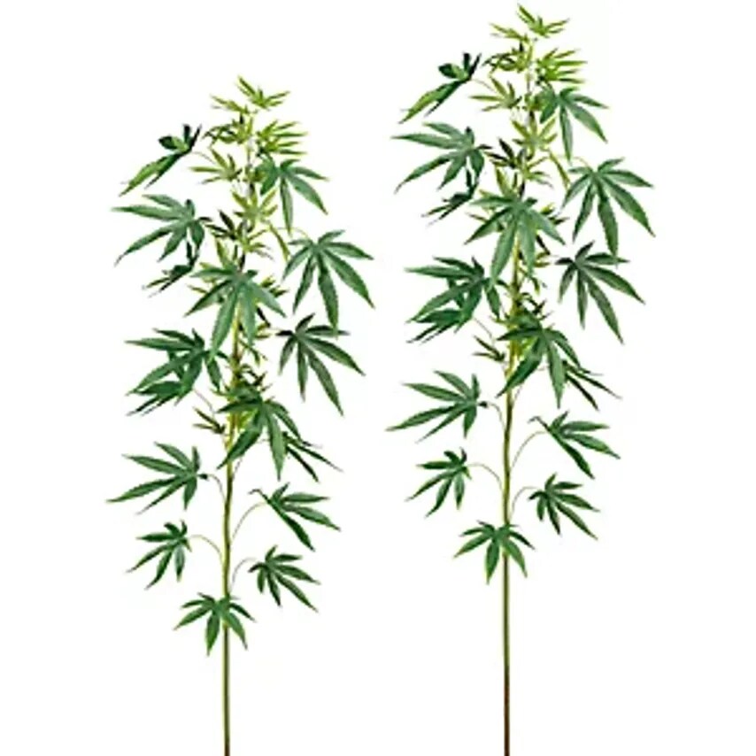Ornamental Hemp Branch, Pack Of 3, Green, Length Approx. 1500mm