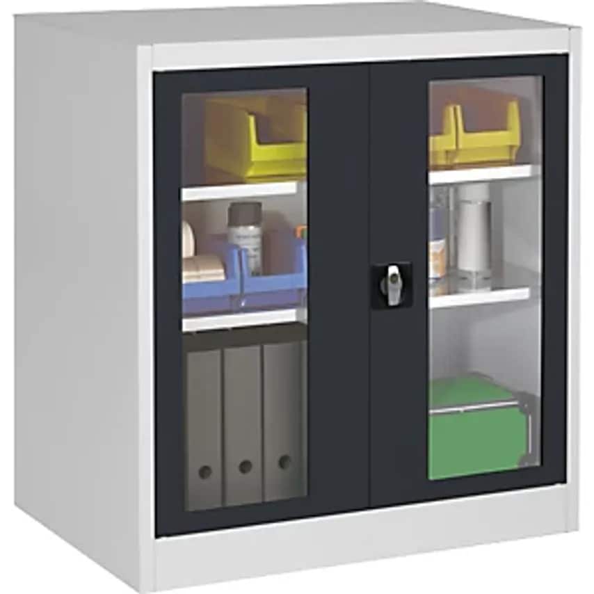 MAUSER Vision Panel Double Door Cupboard, With 2 Shelves, HxWxD 1016 X 950 X 500