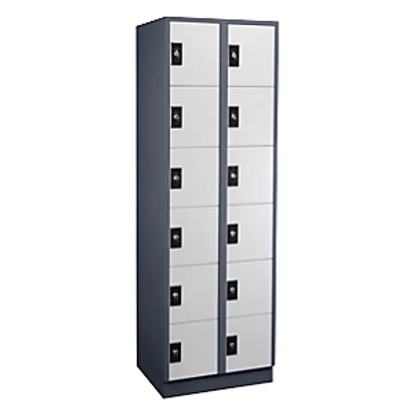 WOLF Compartment Locker, 2 Compartments, 6 Shelf Compartments Each, Charcoal/Lig