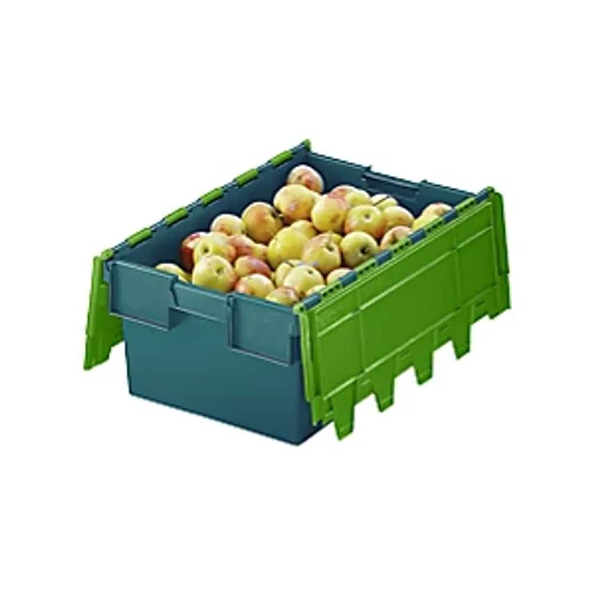 SCHLLER ALLIBERT Reusable Stacking Containers With Folding Lids - Ca- you get 10
