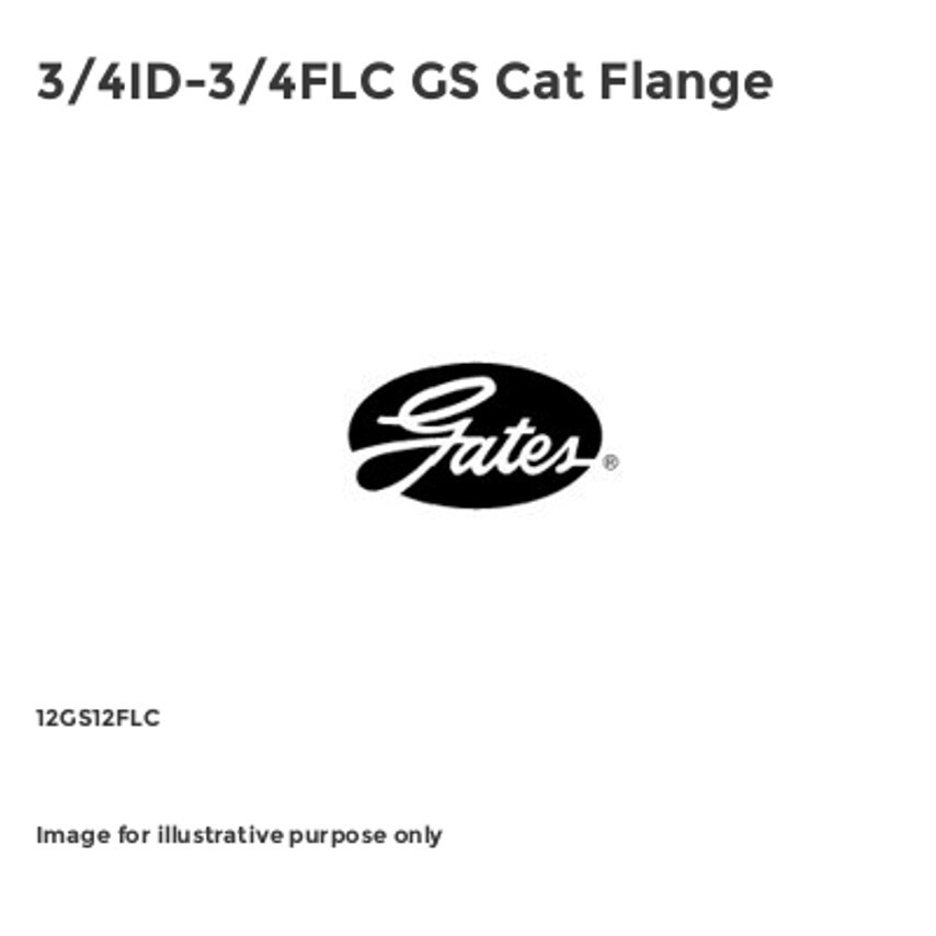 GS Cat Flange