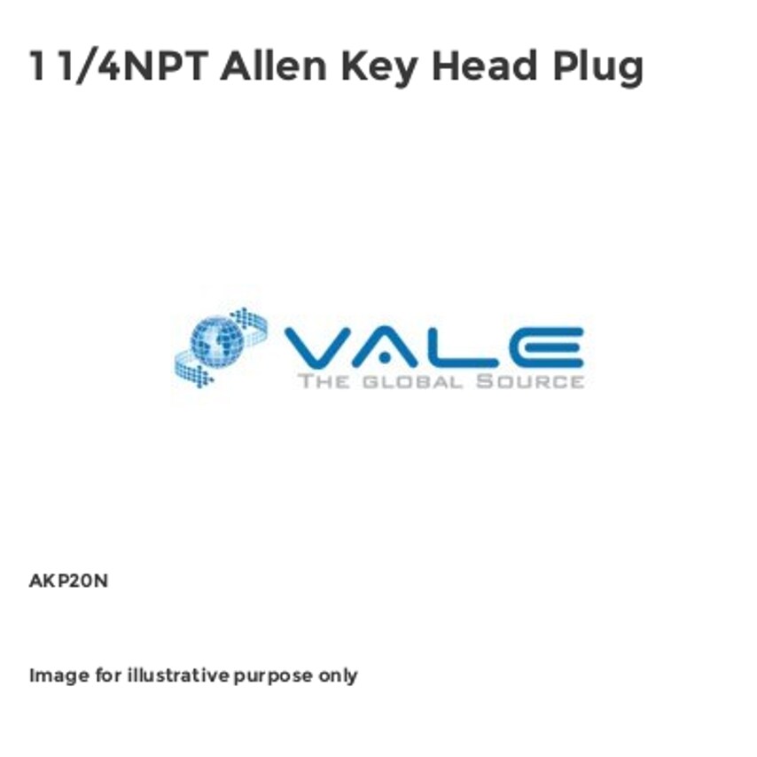 Vale 1 1/4NPT Allen Key Head Plug