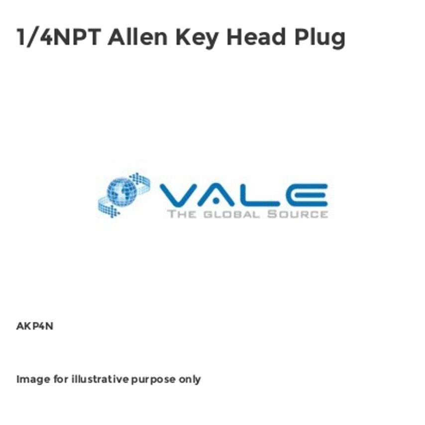 Vale 1/4NPT Allen Key Head Plug