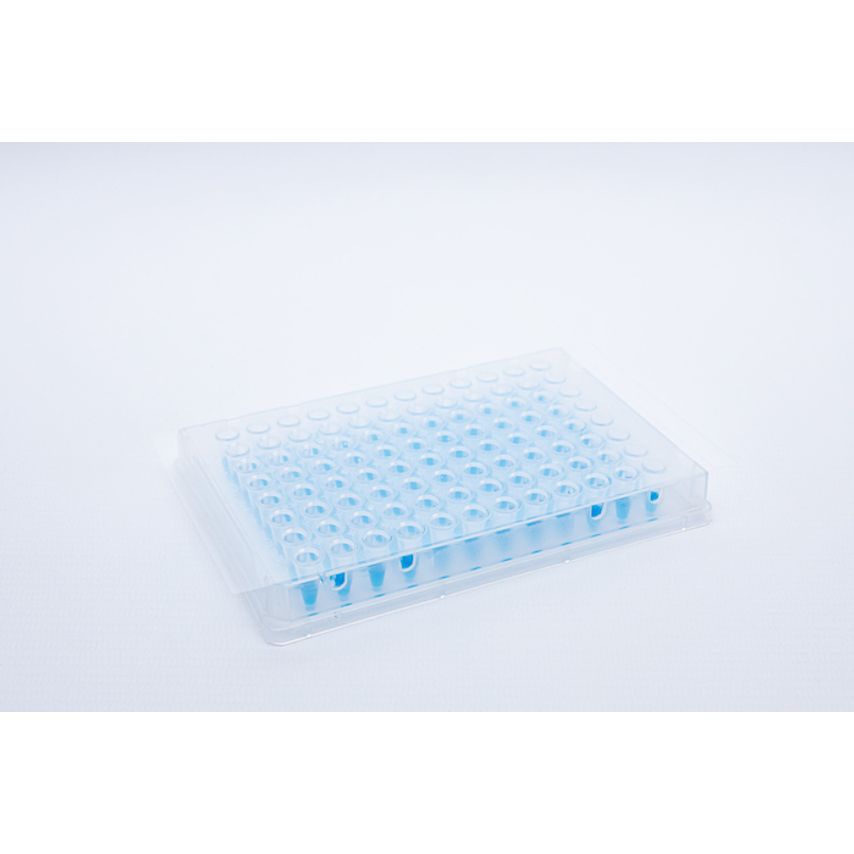 Quickseal QPCR Crystal Ultra Self-Adhesive Sheets