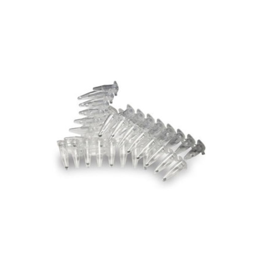 CYTIVA PuReTaq Ready-To-Go PCR Beads 0.2 ml Tubes/Plate 5 x 96 Rxns