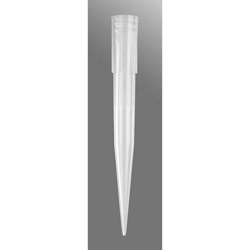 Shop Merck Maxymum Recovery Pipette Tips 1000 U Laboratory Equipment
