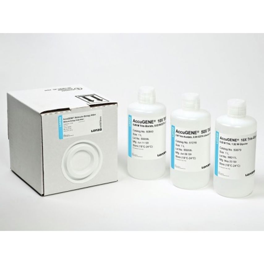 AccuGENE x10 Tbe Buffer 4