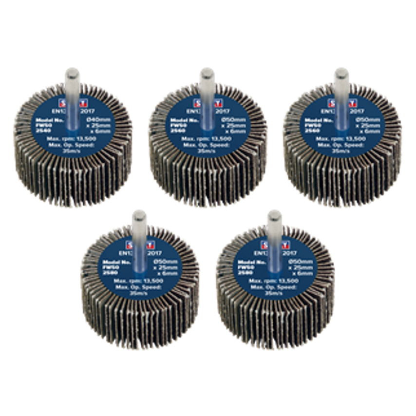 Flap Wheel 6mm Shaft Assorted Grit - Pack of 5