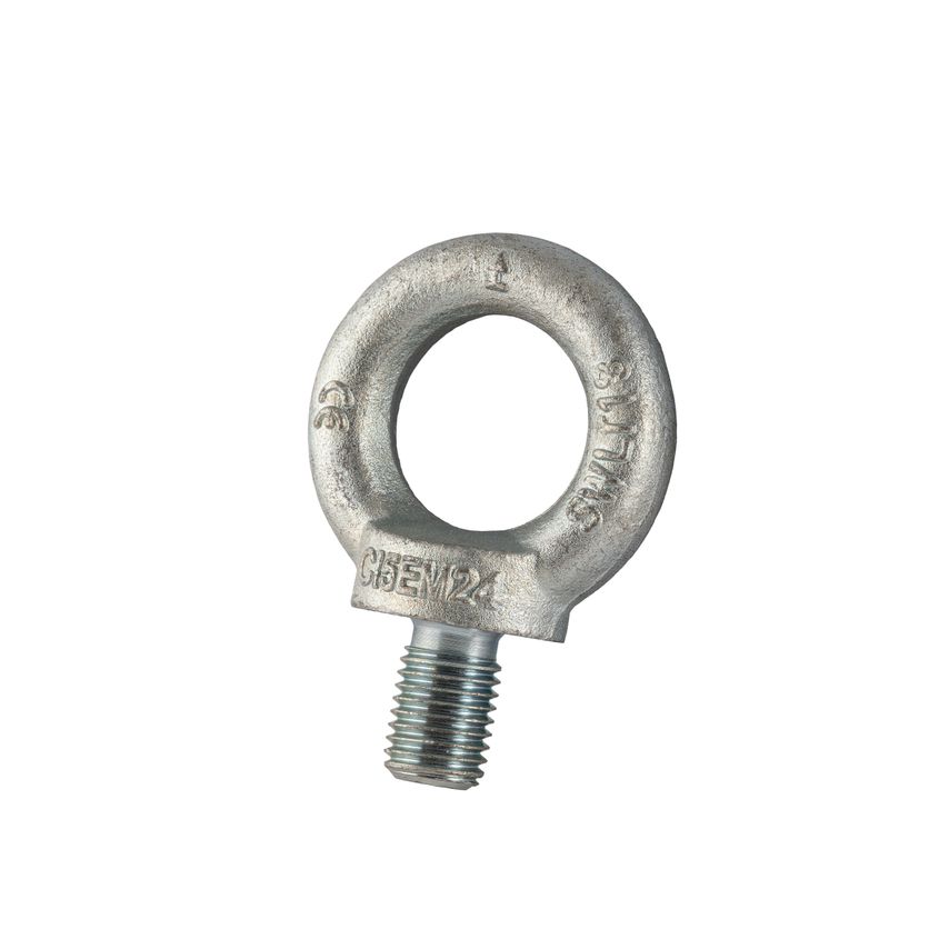 GT Lifting Electro Galvanised DIN 582 Eyenut 30mm