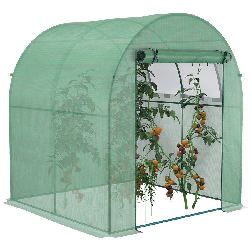 Polytunnel Greenhouses for Garden with Mesh Window and Steel Frame