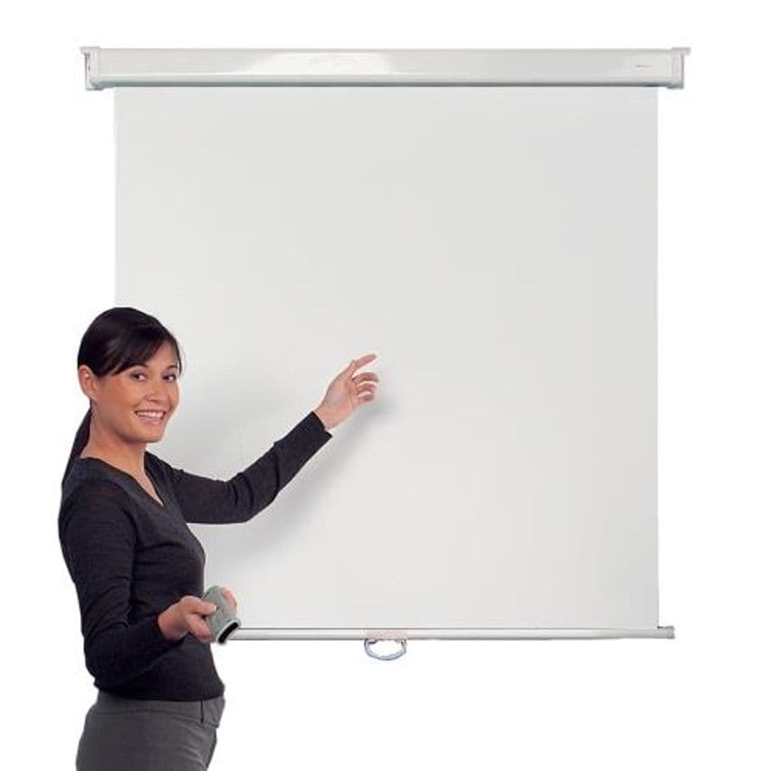 Slingsby Economy Pull Down Wall Projector Screens with Black Border