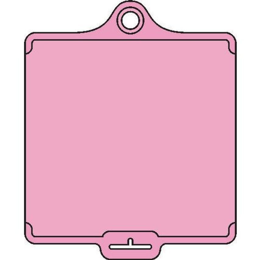 Slingsby Medium Asset Tags - Blank 406012