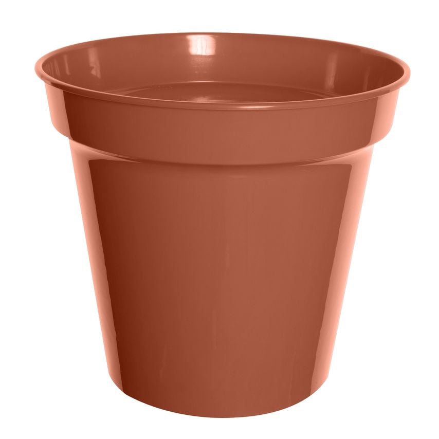 25cm 10in Pot Pack of 10