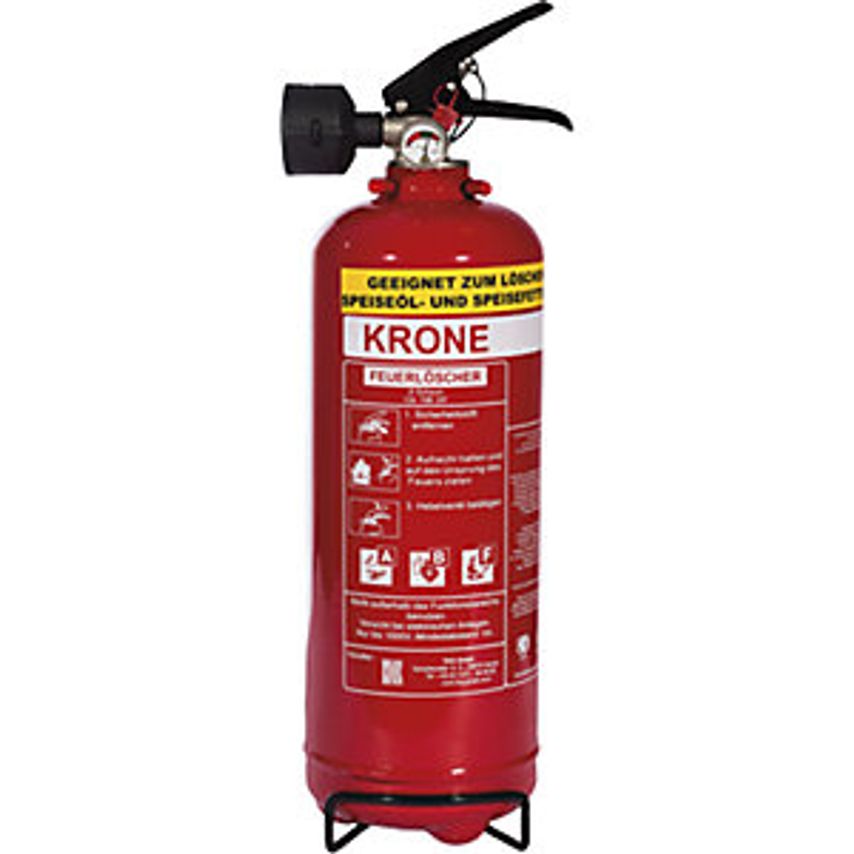 Shop TKG Permanent Pressure Extinguisher for Grease Fires Capacity 2 L