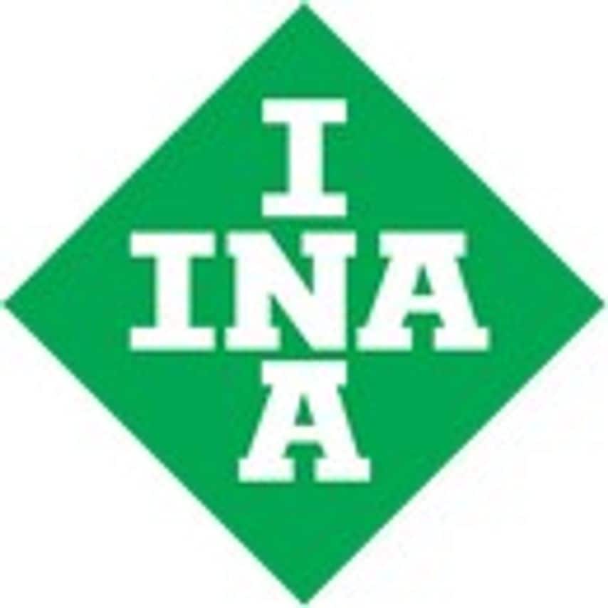 INA ABDS Deflection Pulley - 532051210