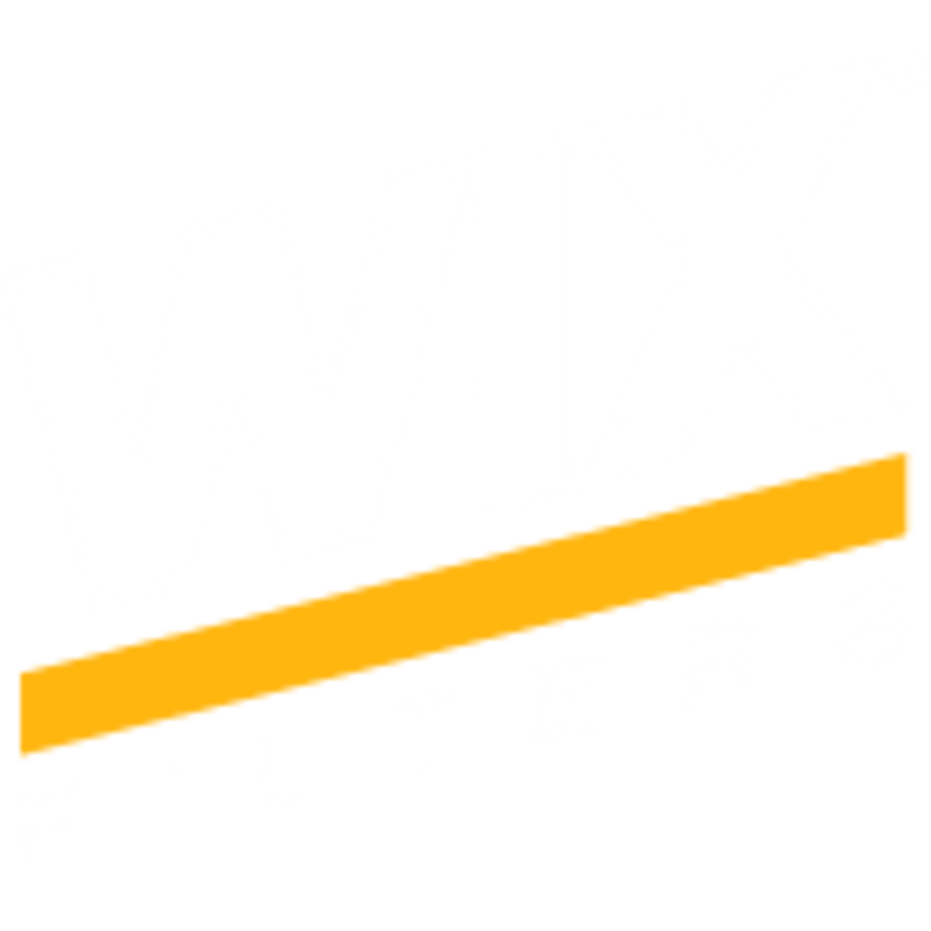 WIX Pollen Filter Carbon - WP6829