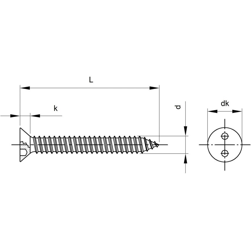 Qualfast 5.5x25mm Security 2-HOLES Csk Tap Screw A2- you get 100