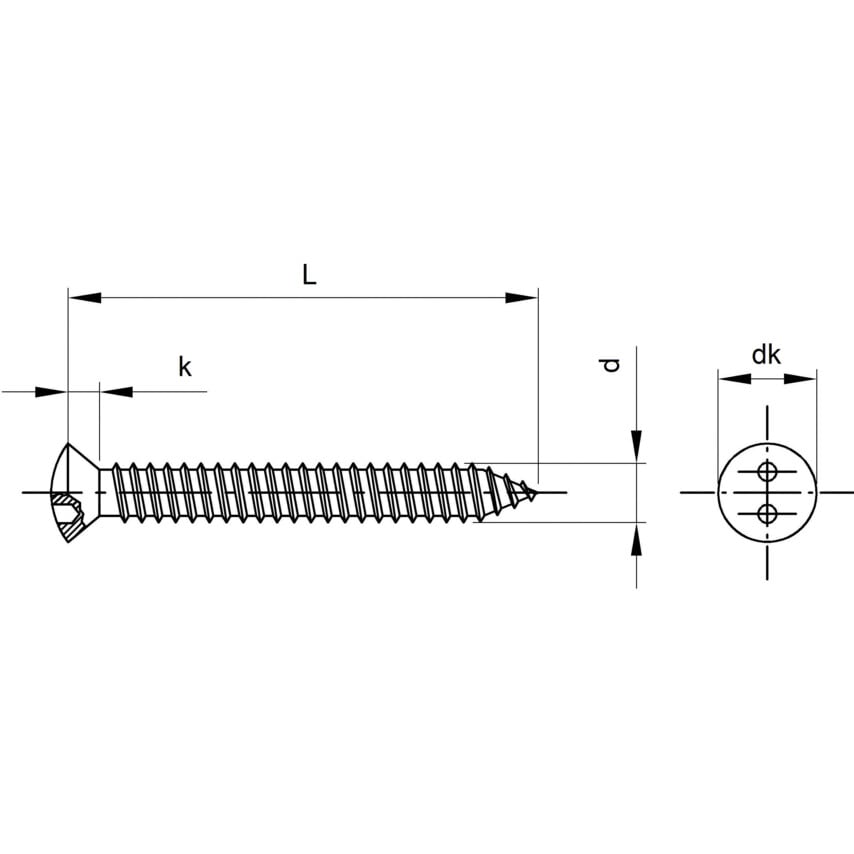 Qualfast 3.5x50mm Security 2-HOLES Rsdcsk Tap Screw A2- you get 100