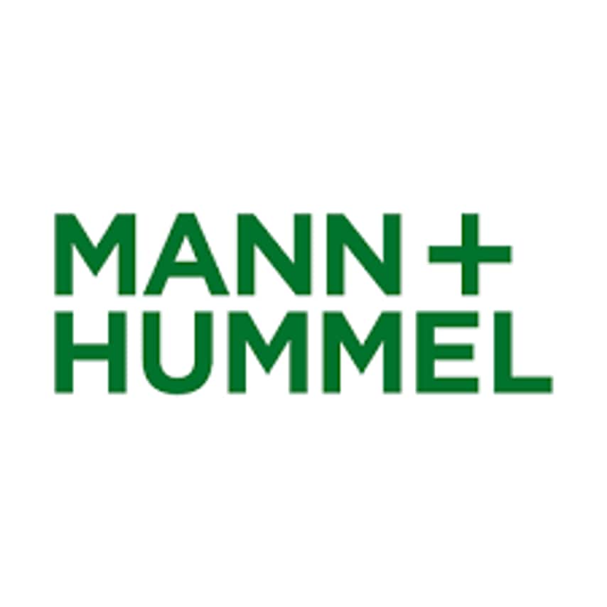 Mann+Hummel Airsquare Select Epm1 55% 350X490X48 P-00-XX-XX-1NXX 8004- you get 4