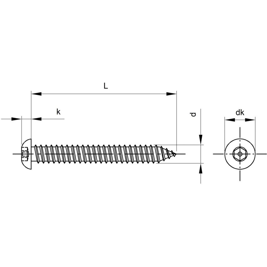 Qualfast 6.3x19mm Security Socket Button Tap Screw with Pin A2- you get 100