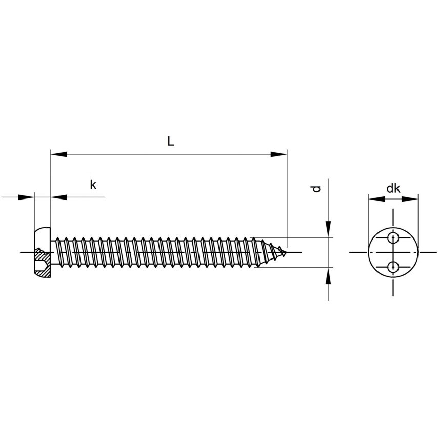 Qualfast 5.5x13mm Security 2-HOLES Cheese Head Tap Screw A2- you get 100