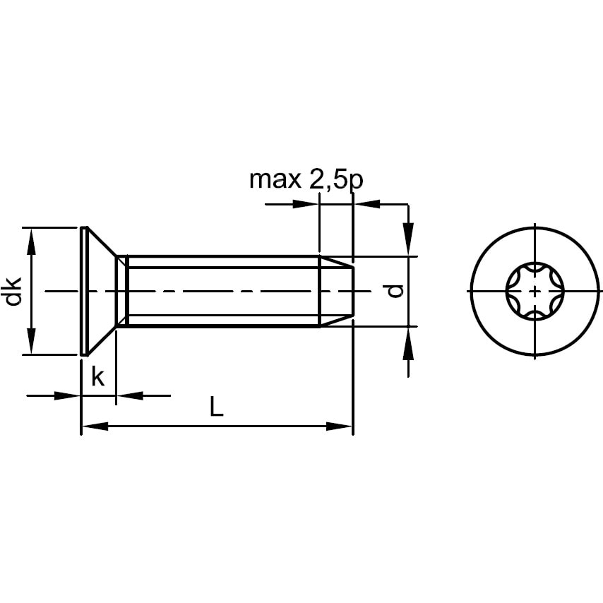 Qualfast M3x10 TORX Csk Thread Roll Screw A2- you get 1000