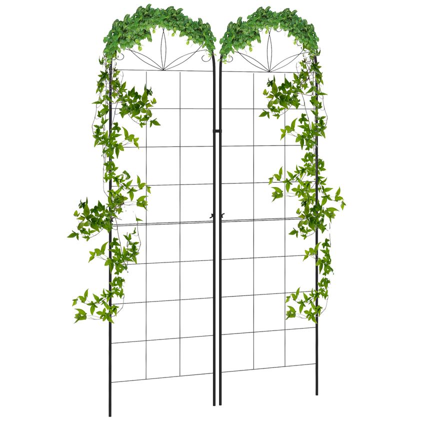 Metal Trellis for Climbing Plants Set of 2
