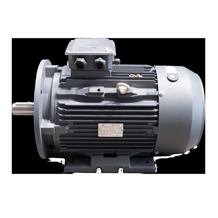 15kw 2 Pole Cast Iron Motor 15.023TECCB35 IE3