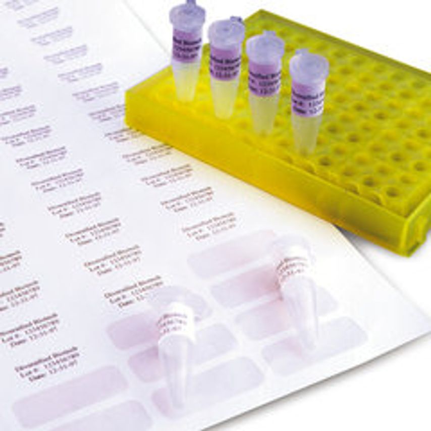 Carl Roth Cryo-labels on Sheets Acrylate Base Yellow Length 24 mm 20 Sheets