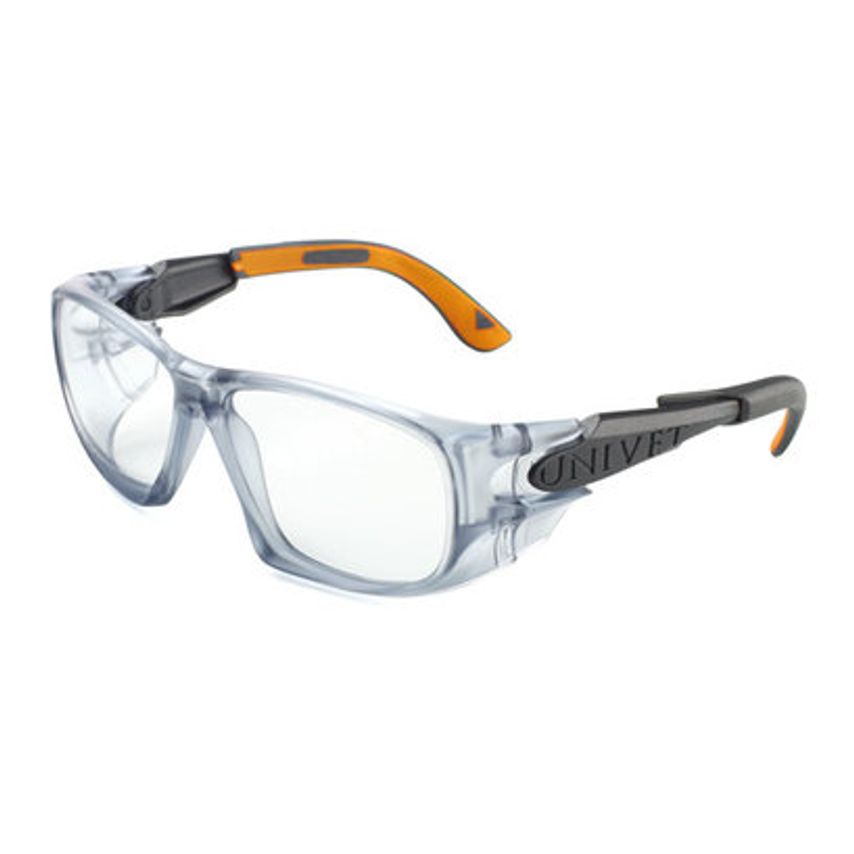 Carl Roth Safety Glasses 5X9 Frame Gun Metal/orange Clear Lens 1 Units