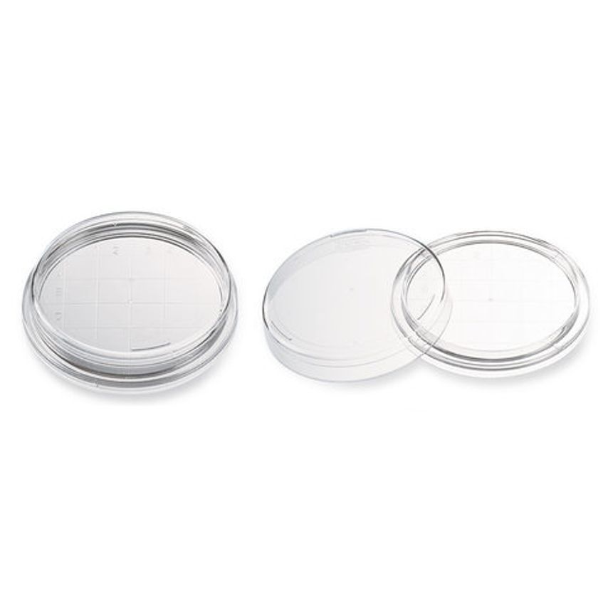 Carl Roth Contact Dishes PS Sterile with Vents 65 H 15 mm 600 Units - Pack of 60