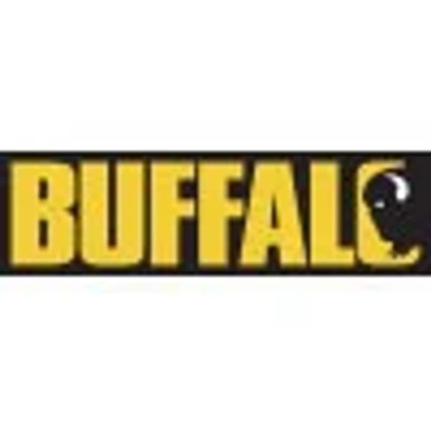 Buffalo Oil Seal - As095: Genuine Buffalo Replacement Oil Seal for Buffalo 20L P