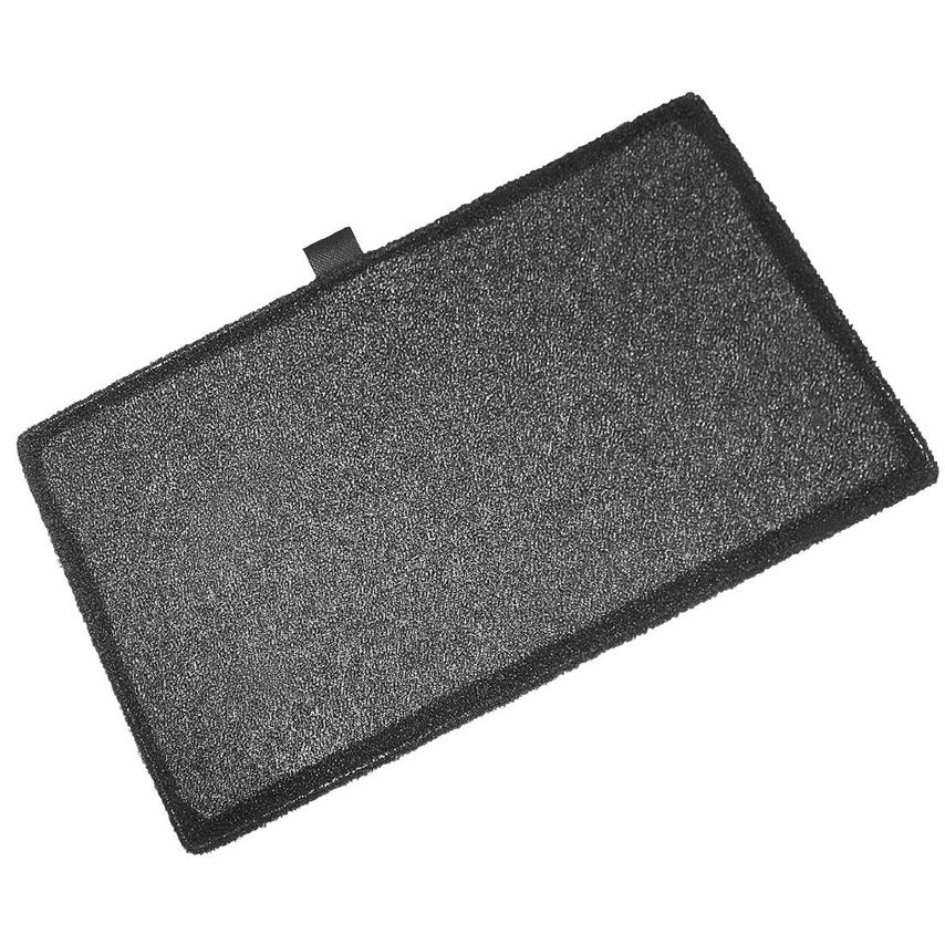 POLAR Screen Filter - AL984