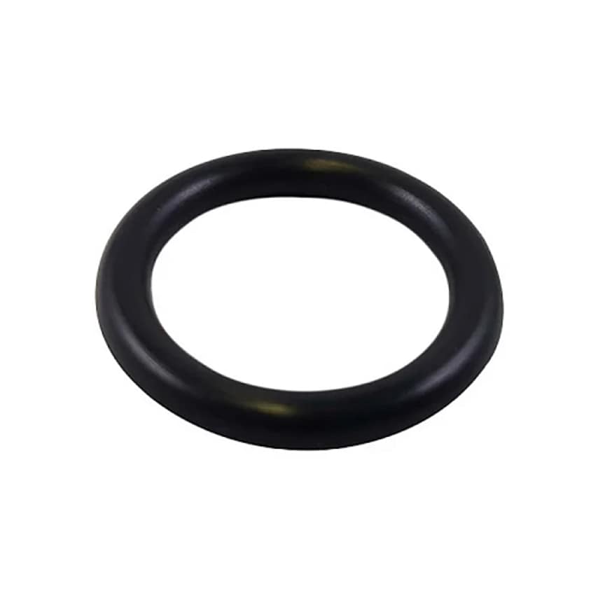 Shop OILSEAL O Ring 100mm 100X2 Pack of 1 Inner Rings Zoro UK