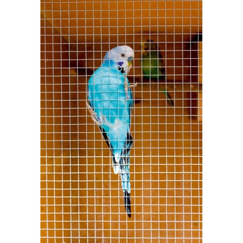 Ambassador Cage & Aviary Welded Panel 0.6 x 0.9m Mesh Size 13x13mm