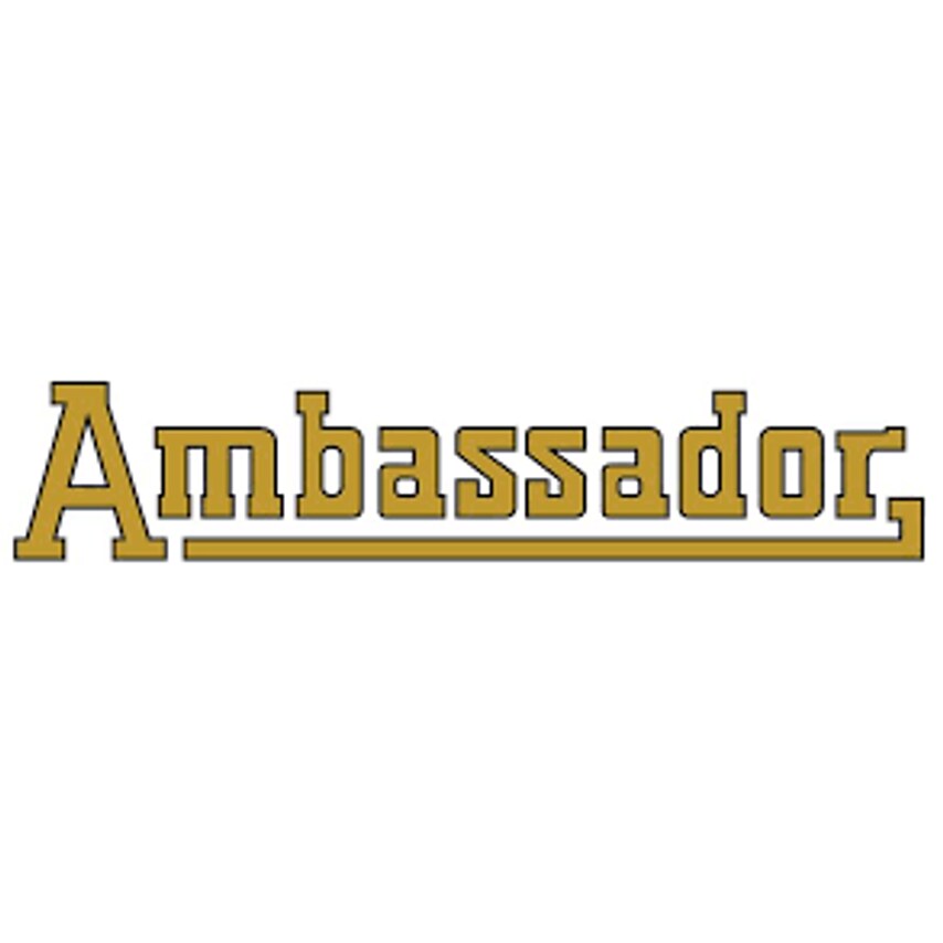 Ambassador Cage & Aviary Welded Panel 0.6 x 0.9m Mesh Size 50 x 50mm