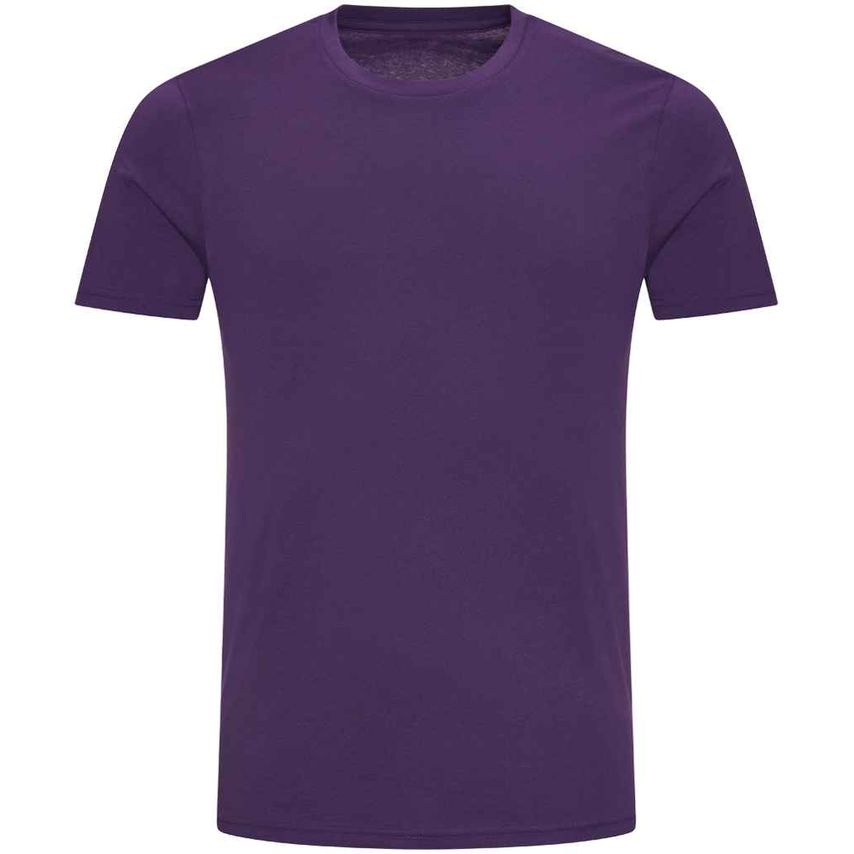 Just Ts AWDis The 100 T-Shirt Mens Purple - JT100 PUR M