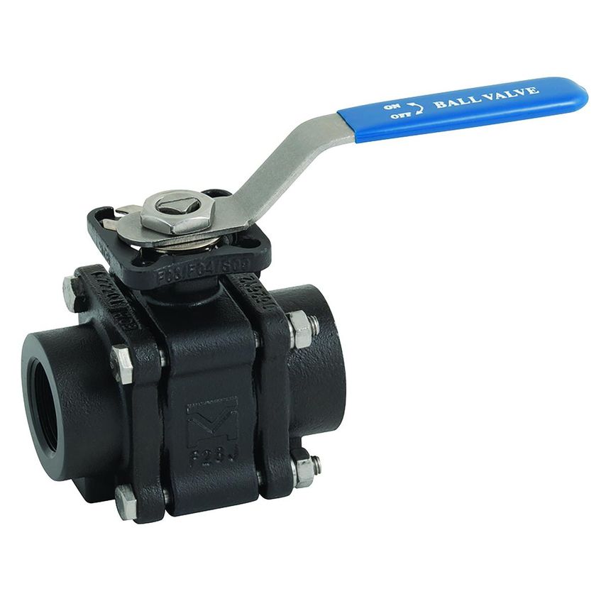 Haitima 2in BSP Fsas CS 3 Piece Fbbv D/mnt 1500PSI - 2013KMD-2C