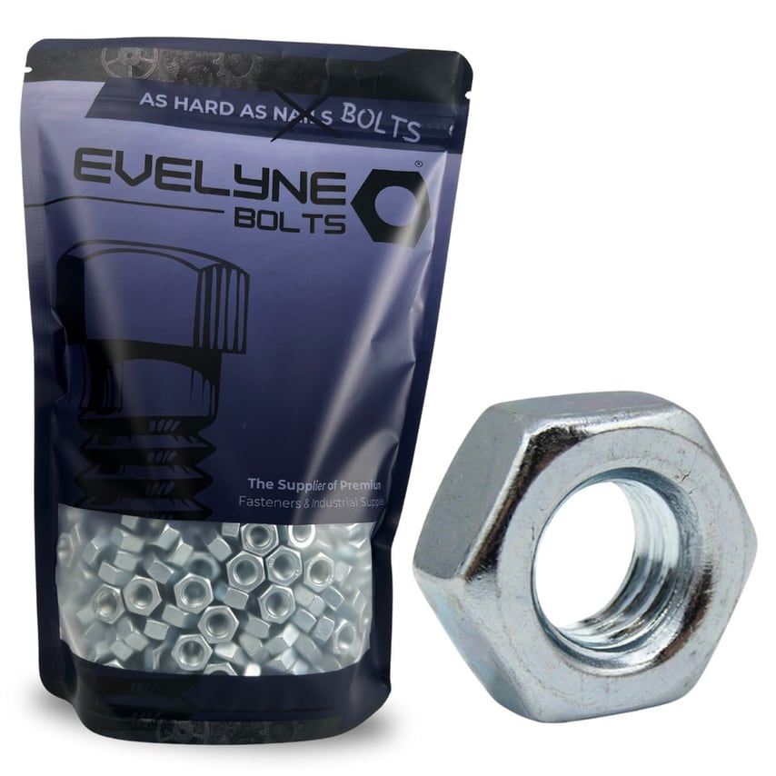 Evelyne Bolts M10 Plain Nuts Pack of 10