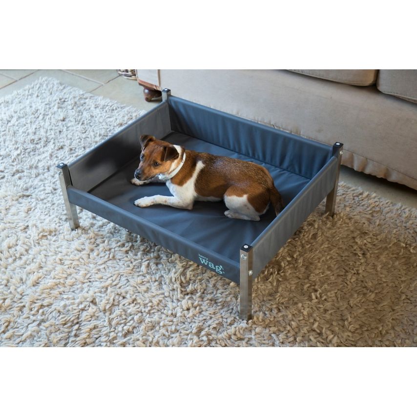 Elevated Dog Bed Medium